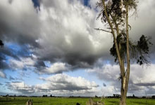 德赢VWIN下载：英超第12輪阿森納0-1伯恩利 紮卡染紅奧巴梅揚自擺烏龍.