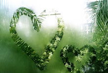 “违规收受茅台酒”“新型腐败和隐性腐败典型” 陈小澎被开除党籍.